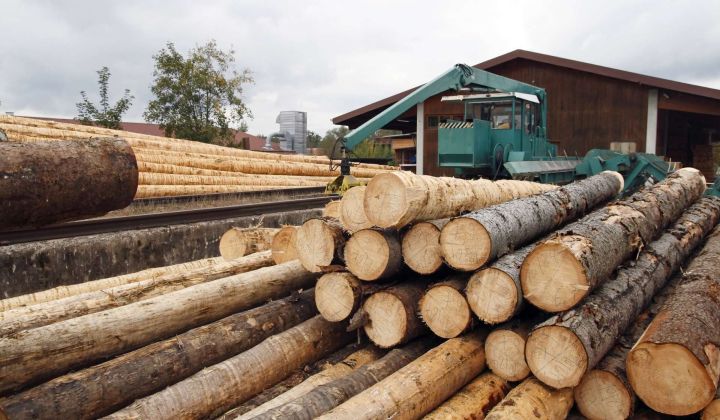 Czym jest drewno konstrukcyjne?