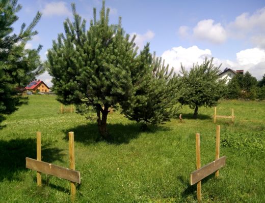 Budowa domu w Bieruniu