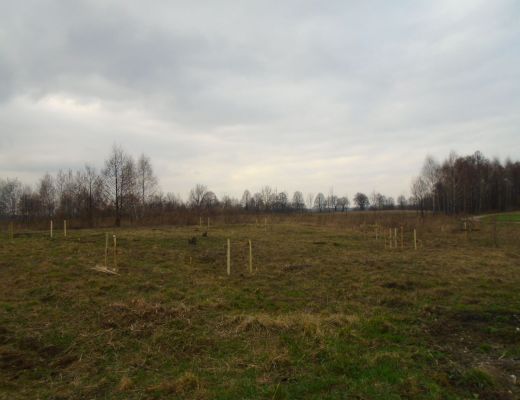 Budowa domu w Nowej Wsi