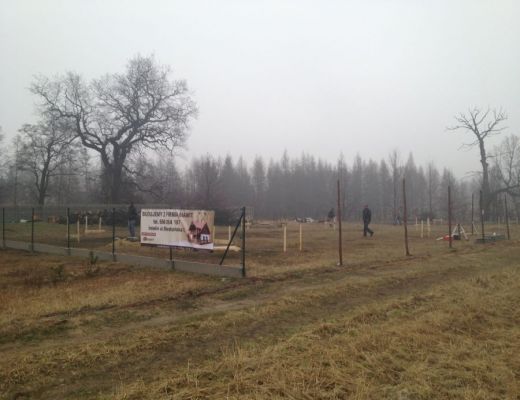 Budowa 2 domów w Orzeszu