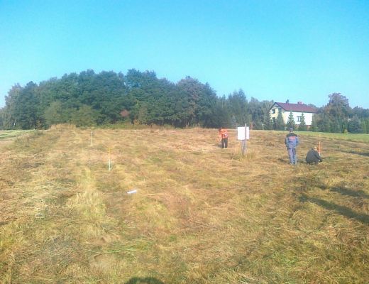 Budowa domu w Orzeszu