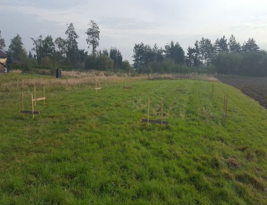 Budowa domu w Bestwince