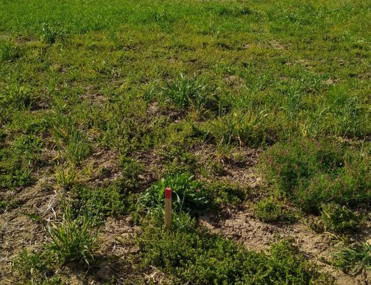 Budowa domu w Bromovicach 