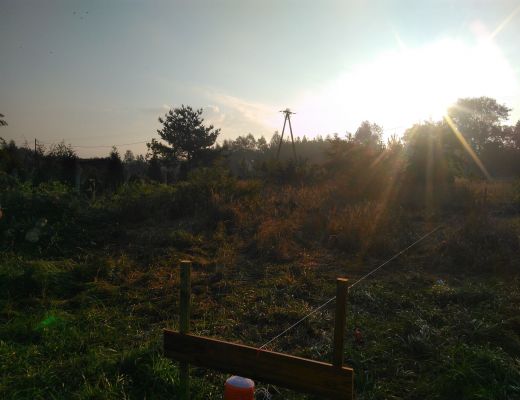 Budowa domu w Imielinie