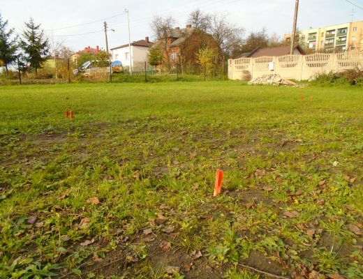 Dom szkieletowy w Sławkowie