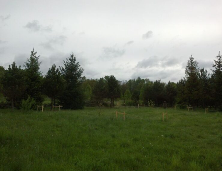 Budowa domu w Dąbrowie Górniczej