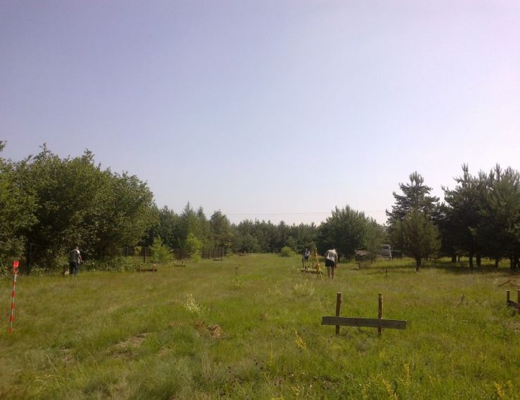 Budowa 2 domów w Jaworznie