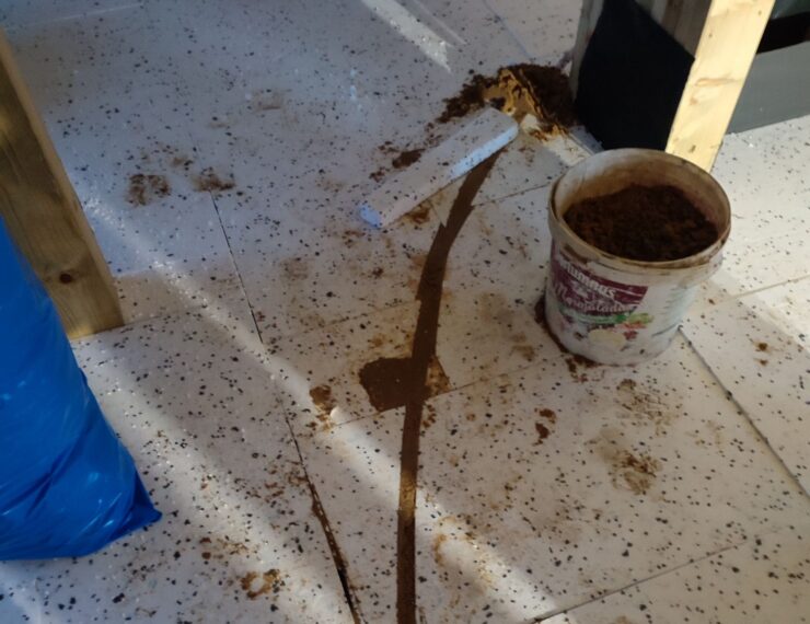 Budowa domu w Sosnowcu