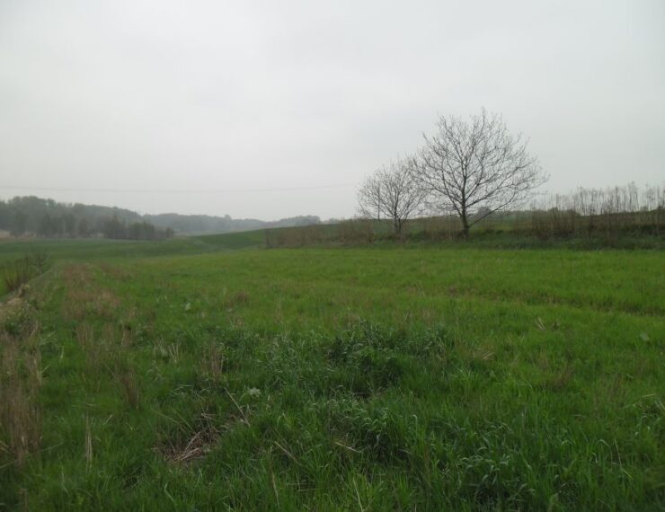 Budowa domu w Wodzisławiu Śląskim