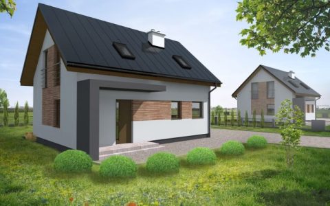 Budowa domów w technologii szkieletowej
