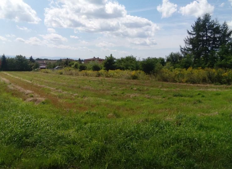 Budowa domu w Imielinie