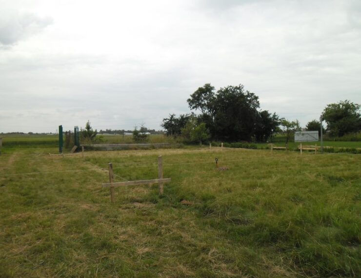 Budowa domu w Kaliszu