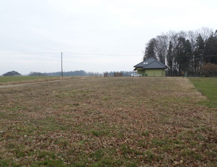 Budowa domu w Cieszynie