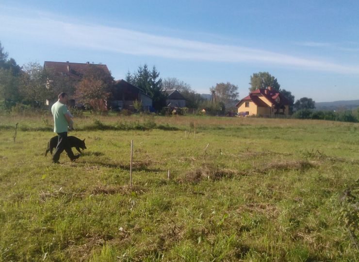 Budowa domu w Rudawie