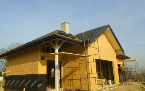 TOP 3 drewna do budowy domu