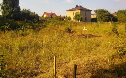 Budowa domu w Jaworznie