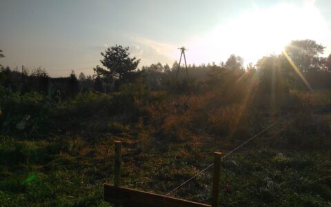Budowa domu w Imielinie