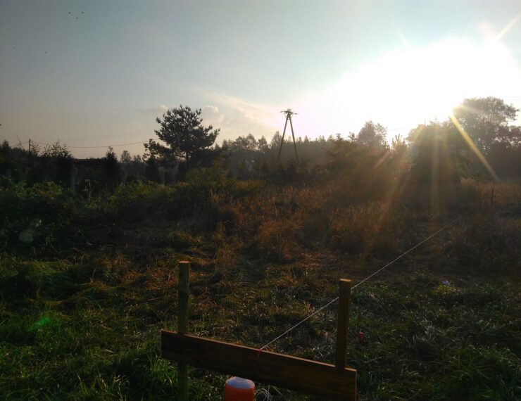 Budowa domu w Imielinie