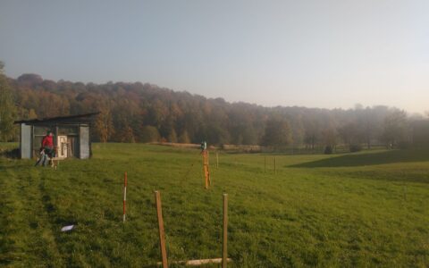 Budowa domu w Orzeszu