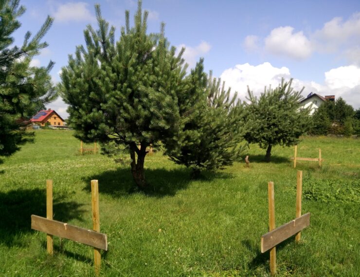 Budowa domu w Bieruniu