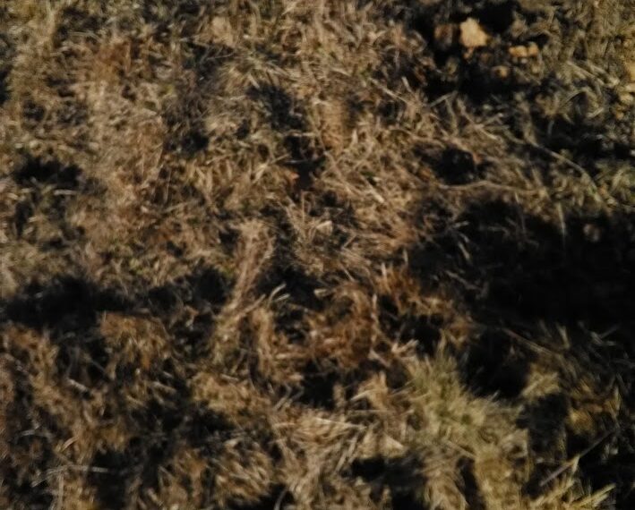 Budowa domu w Przecieszynie