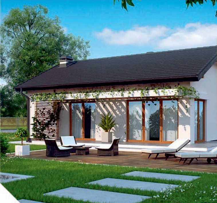 Domy szkieletowe projekty