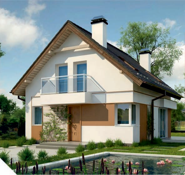 Domy szkieletowe projekty